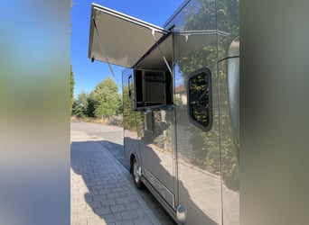 Renault Master Horse Transporter 5 Seats, 3 Beds.