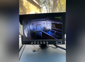 Transporteur de chevaux 3,5 t Peugeot Boxer, seulement 116 200 km au compteur