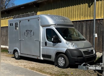 Transporteur de chevaux 3,5 t Peugeot Boxer, seulement 116 200 km au compteur