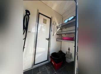 Transporteur de chevaux 3,5 t Peugeot Boxer, seulement 116 200 km au compteur