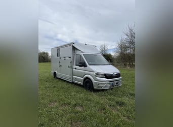 Transporteur de chevaux MAN TGE 3.180 automatique, 3,5 tonnes, van pour chevaux