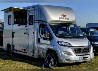 Transporteur pour chevaux ; Camion pour le transport équestre ; Capacité 5 places ; Compact L Plus