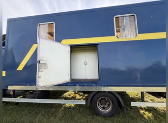 Transporteur pour chevaux MAN jusqu'à 7,5 tonnes, adapté à 4 chevaux