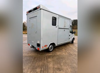 Transporteur pour chevaux Renault Master d'occasion