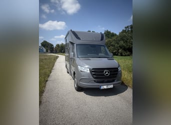 Camion de transport pour chevaux Mercedes Sprinter, 3 places, adapté pour étalon, moteur 2.0 CDI, 15