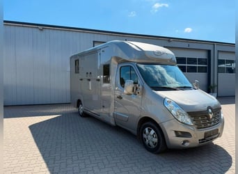 Camionnette Renault Master Horsebox STX Long – Équipement pour étalon