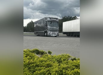 International horse transport
