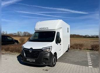 Renault ROELOFSEN YORSE 2-Pferdetransporter SONDERMODELL NEU
