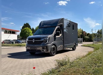 Transporteur de chevaux 2 Ride, équipement pour étalon, Renault Master, 170 ch, boîte automatique, t