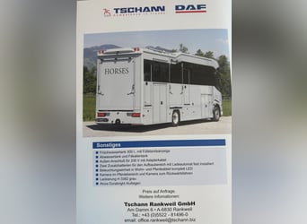 Transporteur de chevaux DAF XF410, camion pour chevaux avec espace de vie