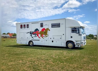 Transporteur de chevaux MAN TGM 18.240 avec espace de vie et fenêtre escamotable, pour 6 chevaux, ca
