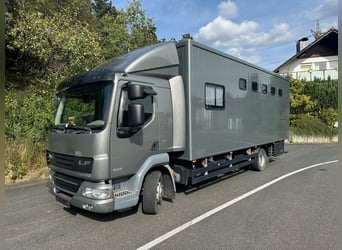 DAF Pferdetransporter, 5 Pferde, Wohnabteil, zGG 11.990 kg, EHC GERMAN COACHBUILDERS