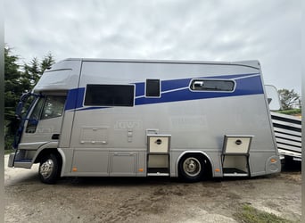 Iveco 80 E RJH Ecoline Pferdetransporter mit Führschein Klasse 3 bzw. C1 zu fahren