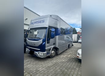 Iveco 80 E RJH Ecoline Pferdetransporter mit Führschein Klasse 3 bzw. C1 zu fahren