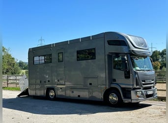 Camion de chevaux a vendre online