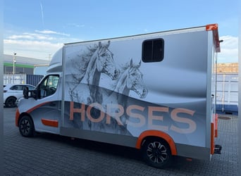 Koniowóz Renault Master 2.3 - Top