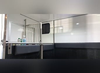 Koniowóz Renault Master 2.3 - Top