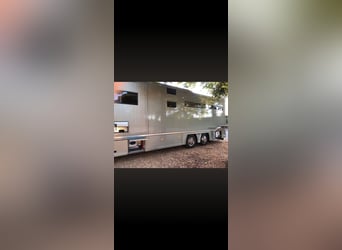 Camion Iveco STX pour 6 chevaux