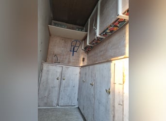 MAN Pferdetransporter mit Stallzelt ohne TÜV