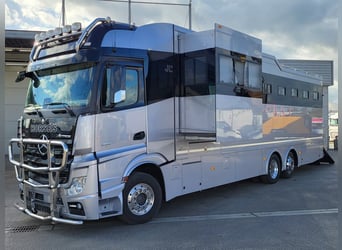 Mercedes-Benz Actros 2551 Horse Truck + Living (2017) —  5–6 horses — 23.236 km — Euro 6