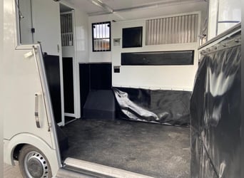 Pferdetransporter Renault Master