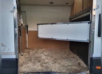 Renault dci120 Pferdetransporter