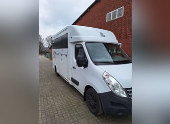 Renault Master Theault paardenwagen hengsten uitvoering