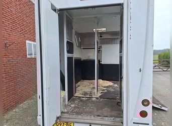 Renault Master Theault paardenwagen hengsten uitvoering