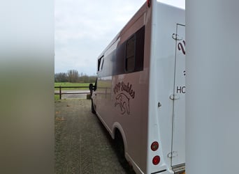Renault Master Theault paardenwagen hengsten uitvoering