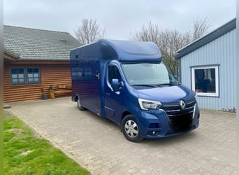 Renault Master Zwei-Pferdetransporter