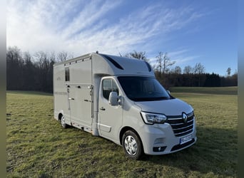 Renault Pferde-Sprinter – 2-Pferde