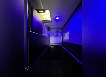 Roelofsen, Renault, Parados Sport, Top Zustand