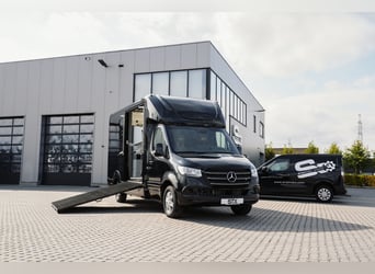 STX 2 Chevaux – Mercedes Sprinter Exclusif