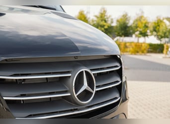 STX 2 Chevaux – Mercedes Sprinter Exclusif