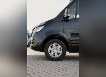 STX 2 Chevaux – Mercedes Sprinter Exclusif