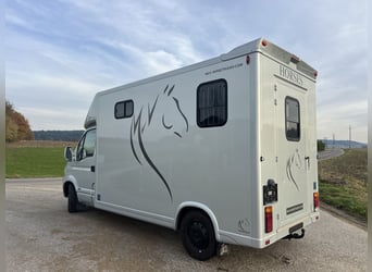 Tolle Pferdetransporteuer Renault MTM