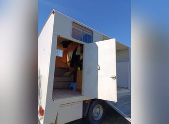 Camion pour 3 chevaux