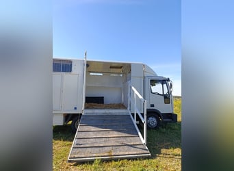 Camion pour 3 chevaux