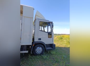 Camion pour 3 chevaux