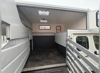 Transporteur pour chevaux – 2 places pour chevaux, 7 sièges