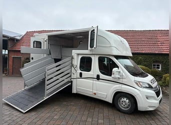 Transporteur pour chevaux – 2 places pour chevaux, 7 sièges