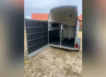 Böckmann Champion R 2023