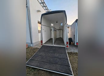 Caravane pour chevaux et poneys Wörmann Milano avec plancher en aluminium – Comme neuf – Nouveau con