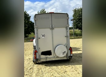 IforWilliams HB506 | Équidé en service depuis mars 2018 | Sol en aluminium & sortie frontale à droit