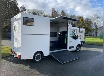 Renault MASTER 2 chevaux confortable