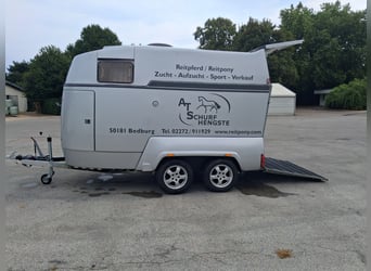 Carrière Mustang Camplet, remorque pour chevaux sportive, TÜV valable jusqu'en avril 2028