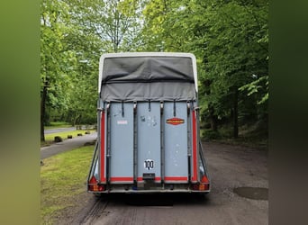 Remorque pour chevaux Böckmann