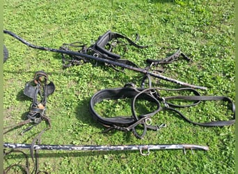 Carrosse avec rênes et tout le matériel associé