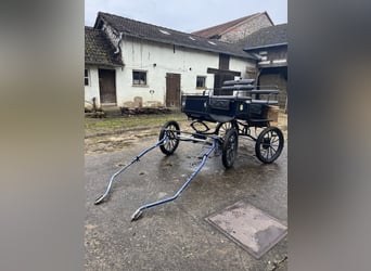 Calèche, attelage simple et double