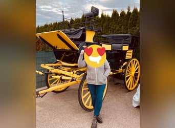 Carrosse pour grands chevaux